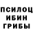 Псилоцибиновые грибы мицелий Jamila Ivatova