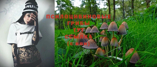 мескалин Абаза