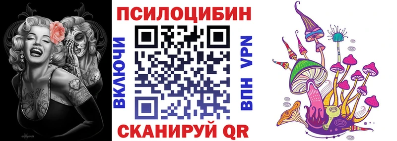 дарк нет формула  Россошь  Псилоцибиновые грибы GOLDEN TEACHER 